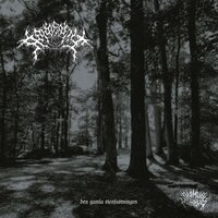 Abhorrent