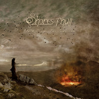 A Thousand Storms - Shores Of Null