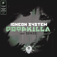 Igneon System