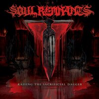 Soul Remnants