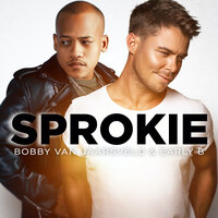 Bobby Van Jaarsveld