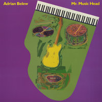 One of Those Days - Adrian Belew