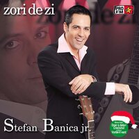Stefan Banica Jr.