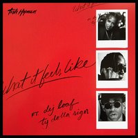 What It Feels Like - Tish Hyman, Ty Dolla $ign, DeJ Loaf