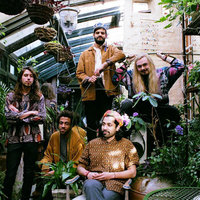 Flamingods