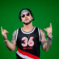 DMC Remo