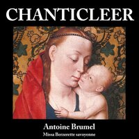 Chanticleer
