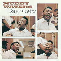 Long Distance - Muddy Waters