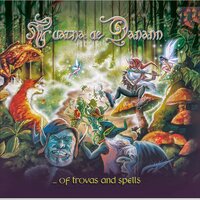 We're Back - Tuatha de Danann