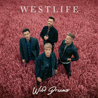 Starlight - Westlife, Kat Krazy