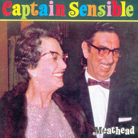 Sally Blue Shoes - Captain Sensible