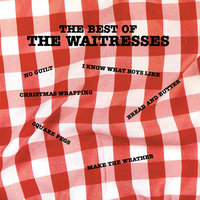 They're All Out Of Liquor, Let's Find Another Party - The Waitresses