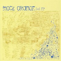 Mock Orange