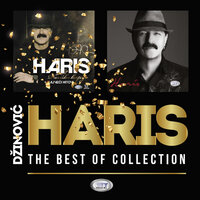 Haris Dzinovic