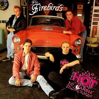 Sandy - The Firebirds