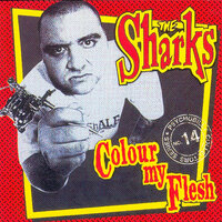Time Bomb - The Sharks
