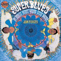 You Can't Judge A Book By Its Cover - Bo Diddley, Muddy Waters, Little Walter