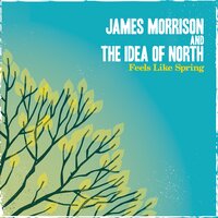 James Morrison