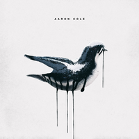 my year - Aaron Cole