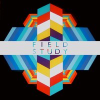 New Sun - Field Study, Adaline