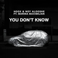 Noy Alooshe
