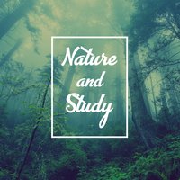 Fireplace - Reading and Studying Music