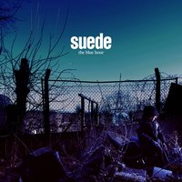 Chalk Circles - Suede