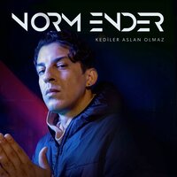 Kediler Aslan Olmaz - Norm Ender