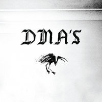 The Plan - DMA's