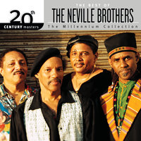 Bird On A Wire - The Neville Brothers