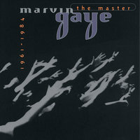 Sexual Healing - Marvin Gaye