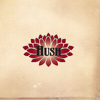 Why You Fly - Hush