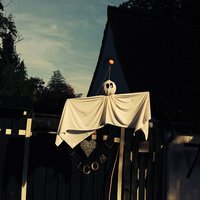 Deep Blue - Camera Shy