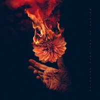 Stop the Bleeding - Wolves At The Gate