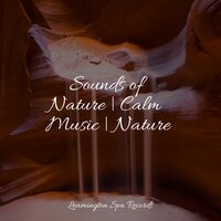 Heaven on the Keys - Relaxing Rain Sounds, Pink Noise, Deep Sleep Music Academy