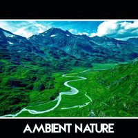 Wellness - Ambient Rain