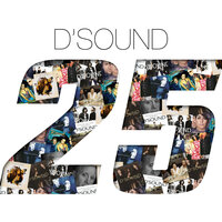 Necessary Love - Shontelle, D'Sound