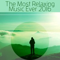 Divine Spa - Relaxation, Meditation