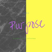 Purpose - Juro