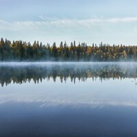Serenity - Organic Nature Sounds, Rain for Deep Sleep, Alpha Brain Waves