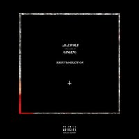 Reintroduction - Adalwolf