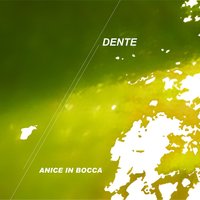 Io Della Bellezza Non Me Ne Faccio Un Cazzo - Dente