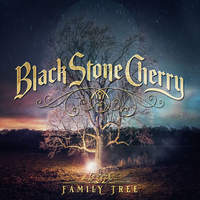 Carry Me On Down The Road - Black Stone Cherry