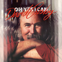 In The Wide Ruin - David Crosby