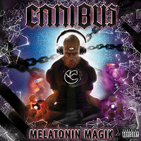 Air Strike (Pop Killer) - Canibus