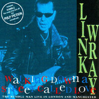 Born To Be Wild - Link Wray