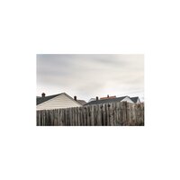 Dead Elm - Talons'