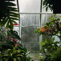 Paradise - Tinnitus Aid, Pro Sound Effects Library, Reiki Music