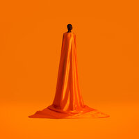 FOM - WAYNE SNOW