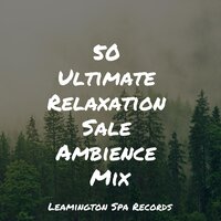 Calming Breeze - Ambiente, Asmr Sleep Sounds, Soothing Music Academy
